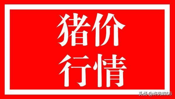 甘肃猪价今日最新消息,甘肃猪价今日最新消息，市场动态与未来展望