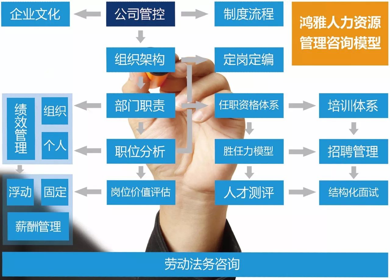 鸿雅招聘网最新招聘,鸿雅招聘网最新招聘动态及其影响