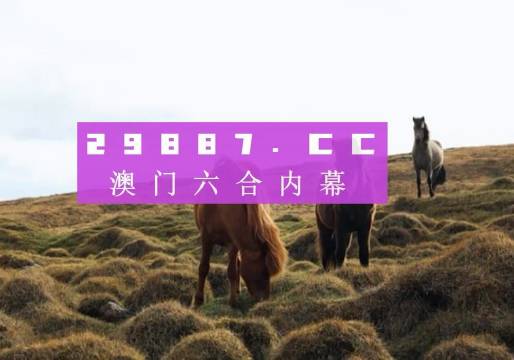 技术咨询 第191页